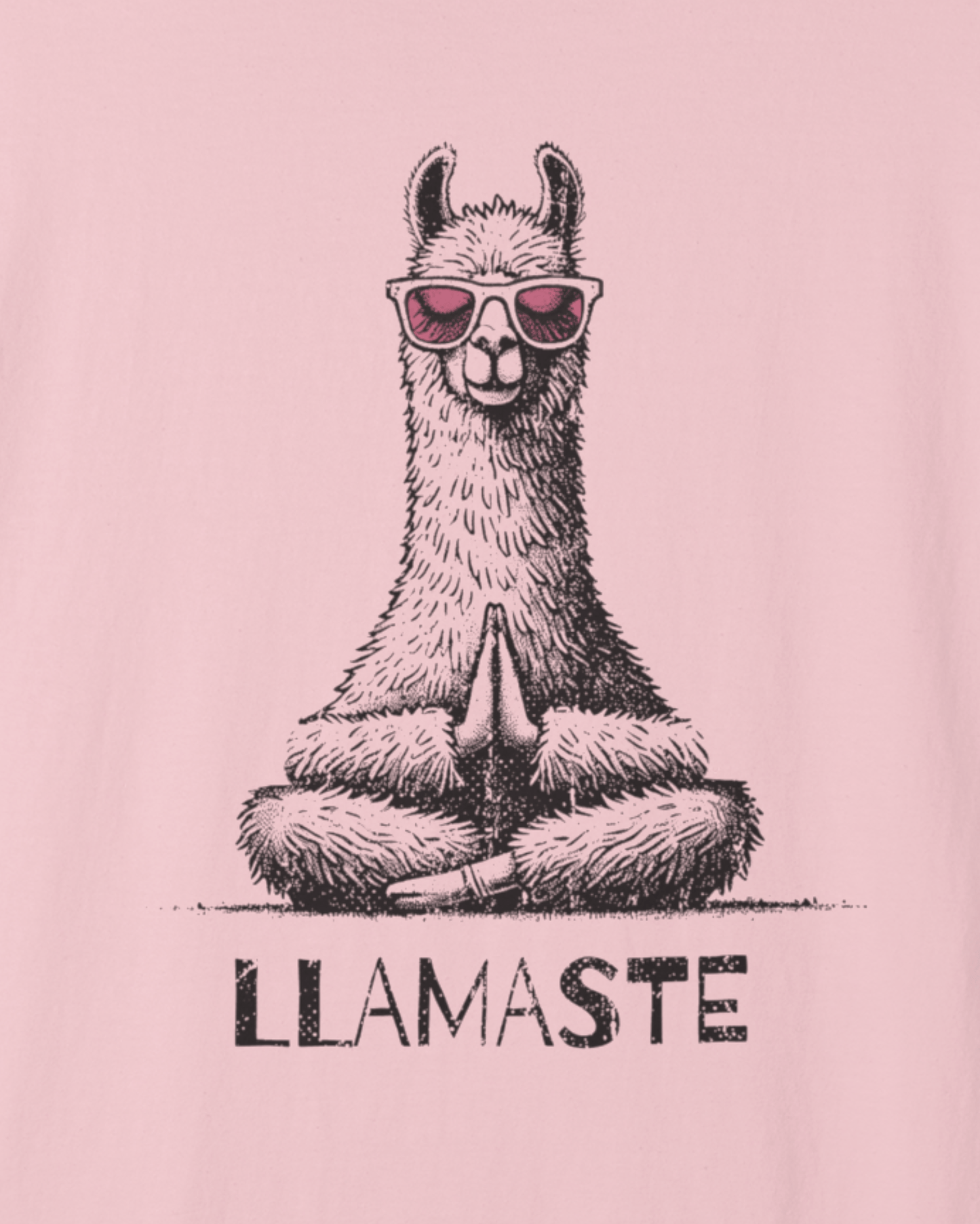 Llamaste T-Shirt