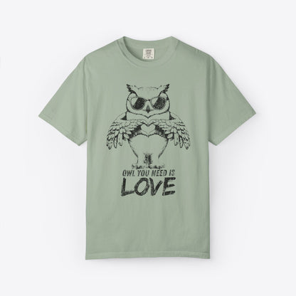 Owl You Need Is Love T-Shirt
