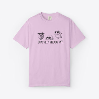 Same Sheep Different Day T-Shirt