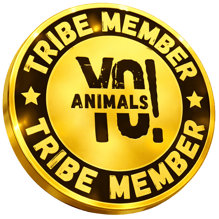 Gold badge with 'Tribe Member' text and 'Yo Animals' logo