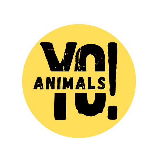 Yo Animals